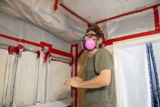 Best Environmental Consulting for Mold Prevention  in Madisonville, TX